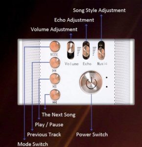 Bonaok Karaoke Microphone buttons